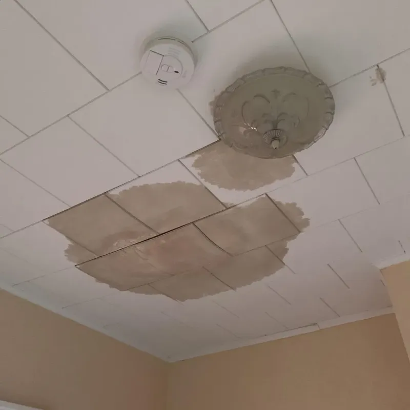 Ceiling Water Damage Repair in Forestdale, AL