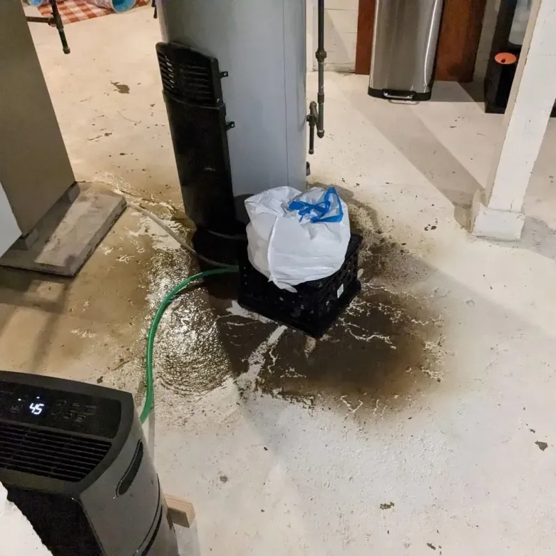 Sewage Backup Cleanup Service in Forestdale, AL
